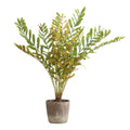 Uttermost 60243 Zamia 43 Wide Zamia Palm Artificial Plant In A Foliage Concrete