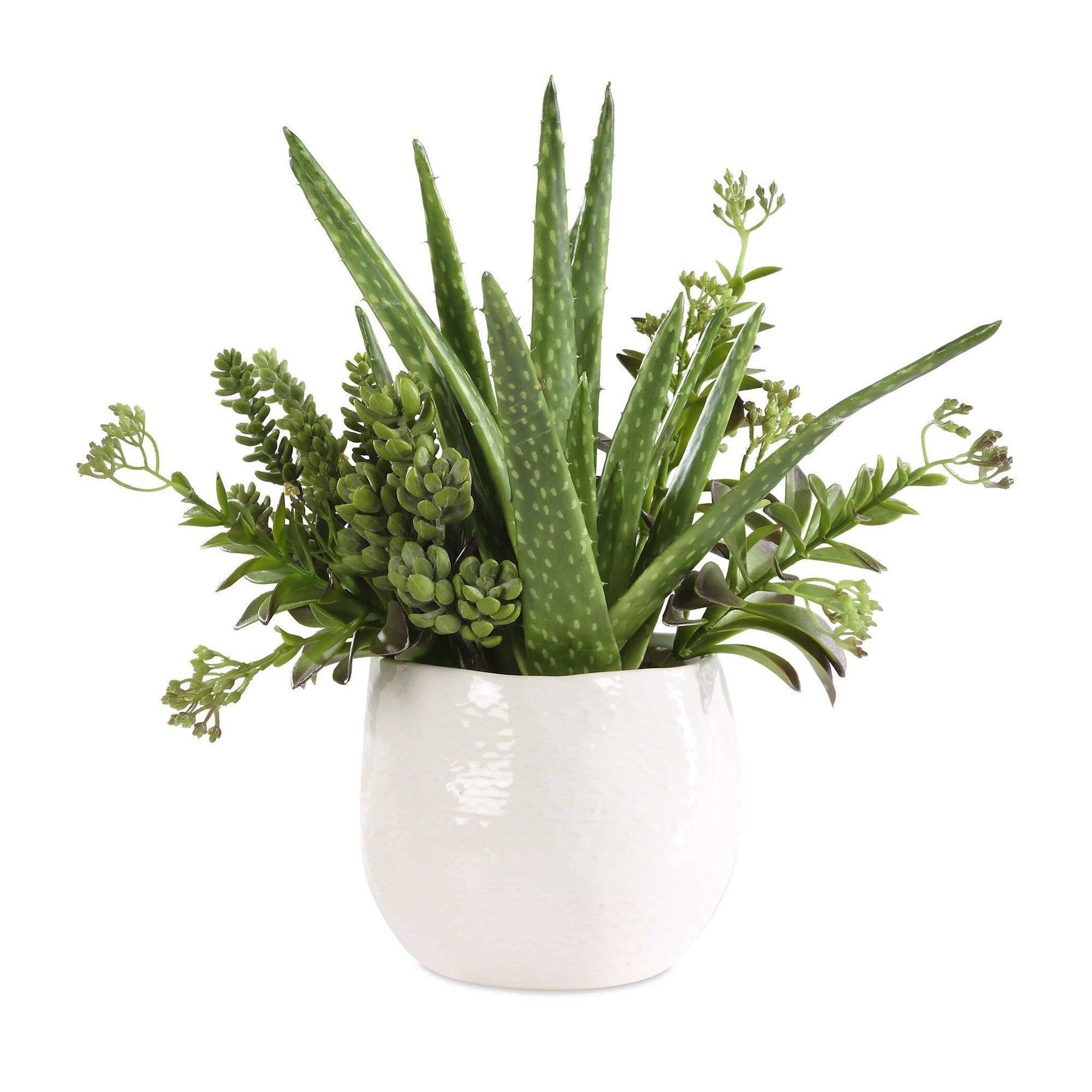 Uttermost 60244 Sundown Succulent 14 Wide Arid Succulents Artificial Succulent White