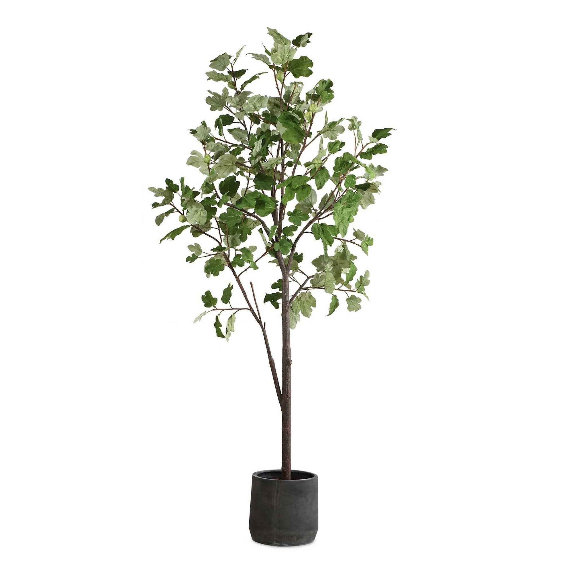 Uttermost 60246 Eden 108 Tall Fig Tree Artificial Plant In A Concrete Green Characoal