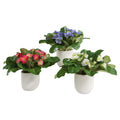 Uttermost 60247 Trilogy Primrose 10 Wide Primulas Artificial Plant In Periwinkle White Fuchsia