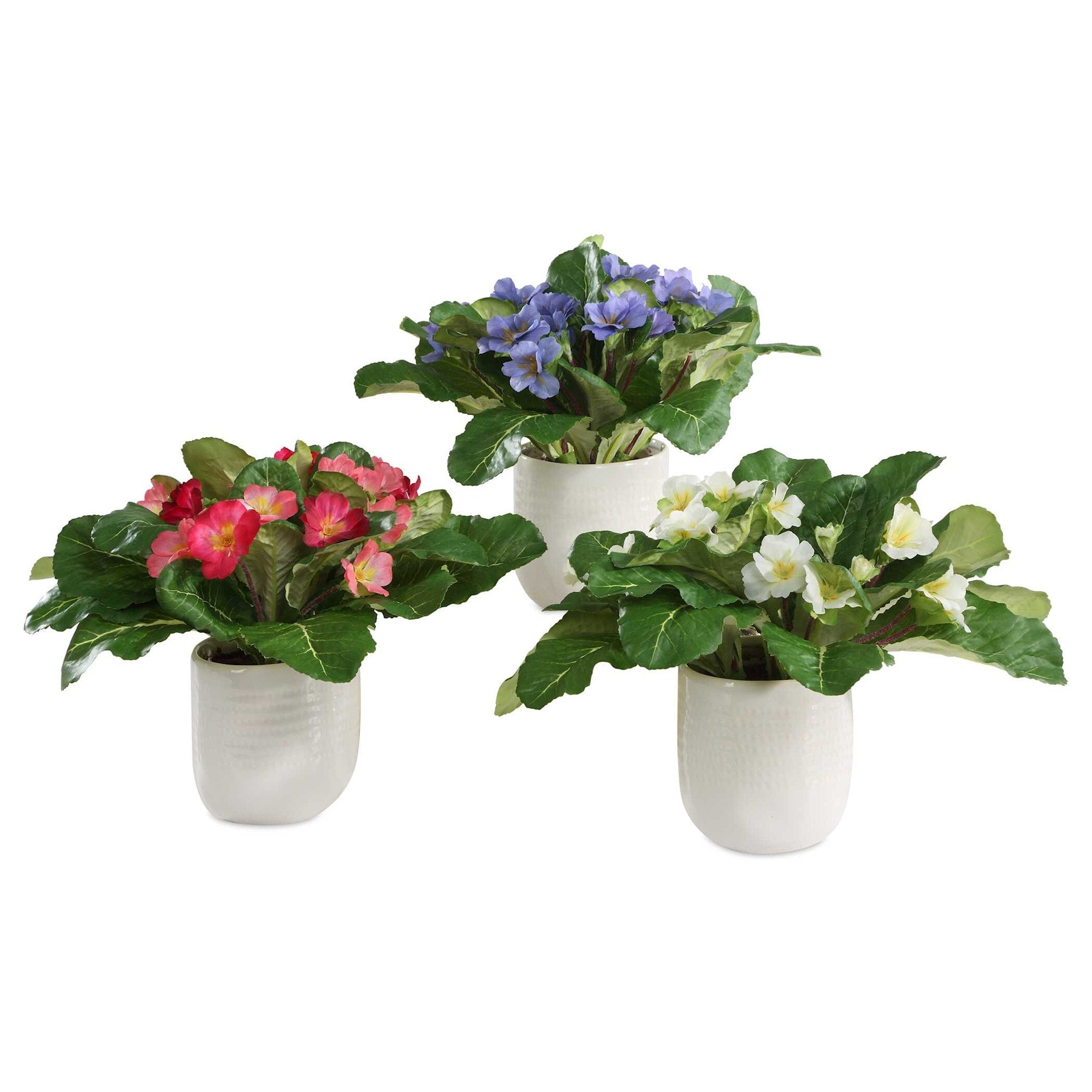 Uttermost 60247 Trilogy Primrose 10 Wide Primulas Artificial Plant In Periwinkle White Fuchsia