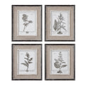 Uttermost Casual Grey Study Framed Art Set Of 4