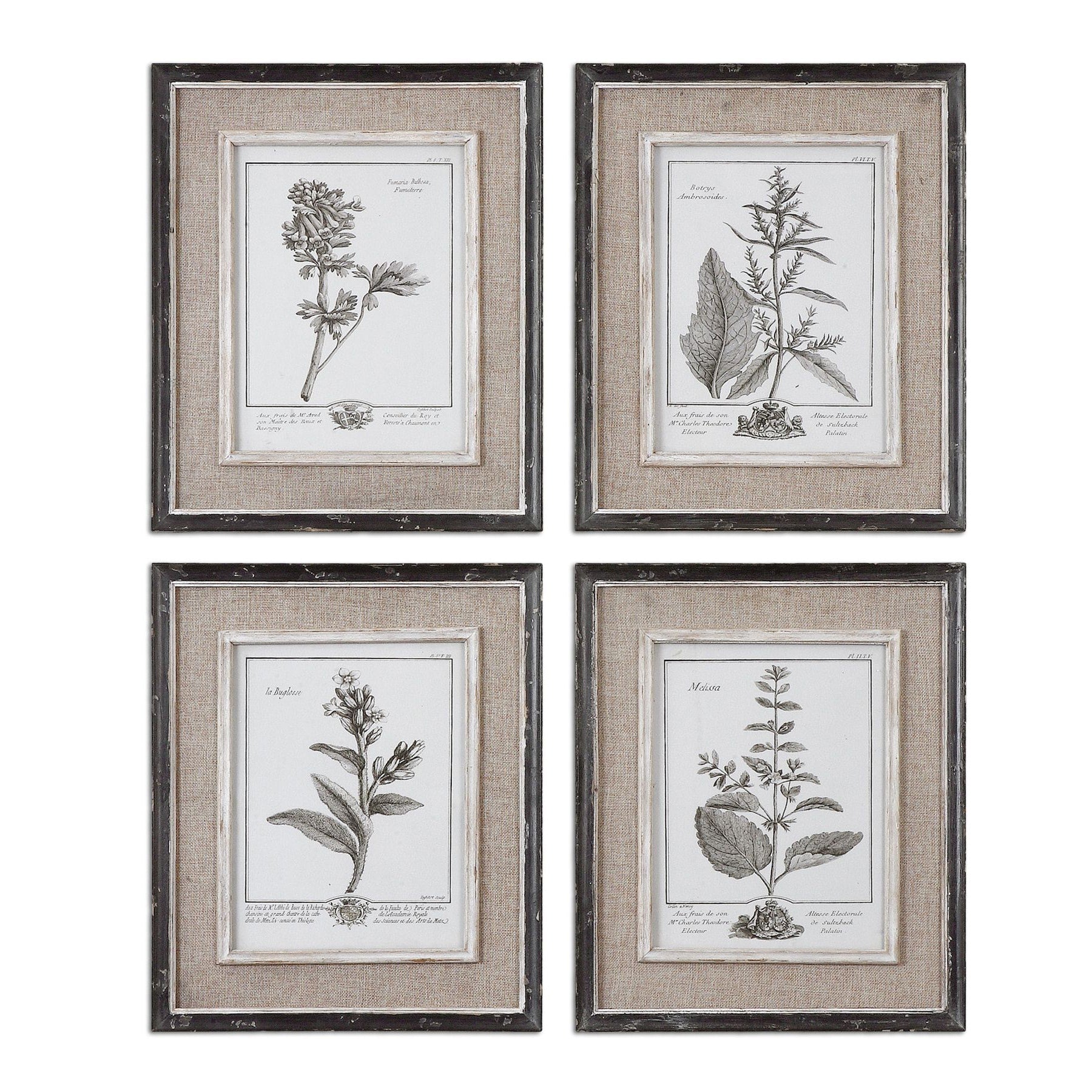 Uttermost Casual Grey Study Framed Art Set Of 4