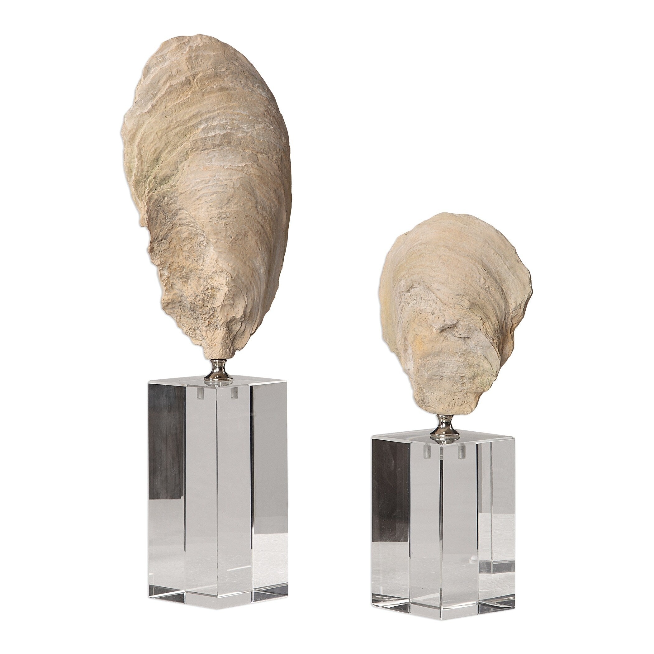 Uttermost Oyster Aged Ivory Shell Sculptures Set Of 2