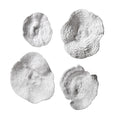 Uttermost Sea Coral Wall Art Set Of 4