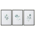Uttermost Simple Sage Watercolor Prints Set Of 3