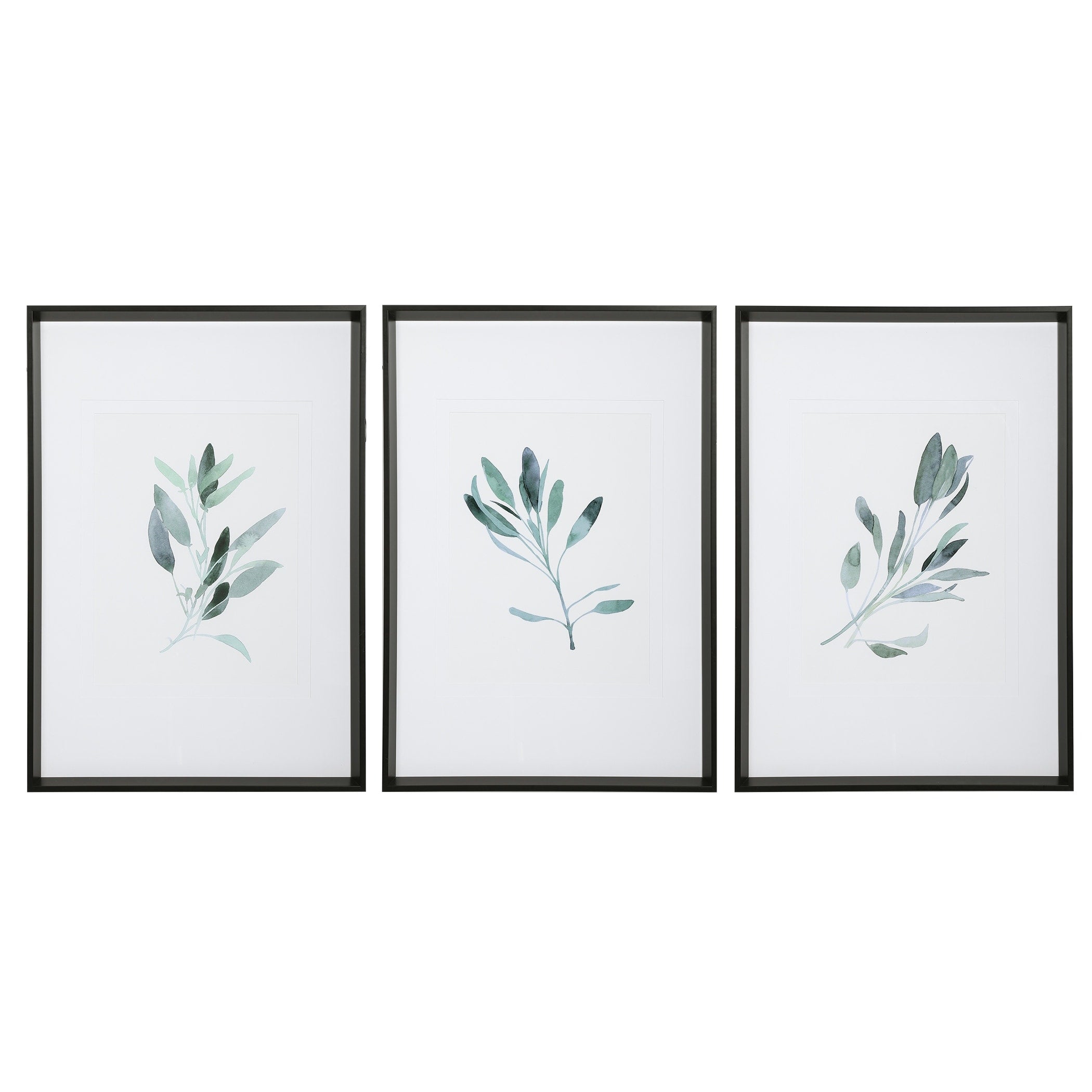 Uttermost Simple Sage Watercolor Prints Set Of 3