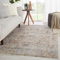 Varian Medallion Gray Multicolor Area Rug