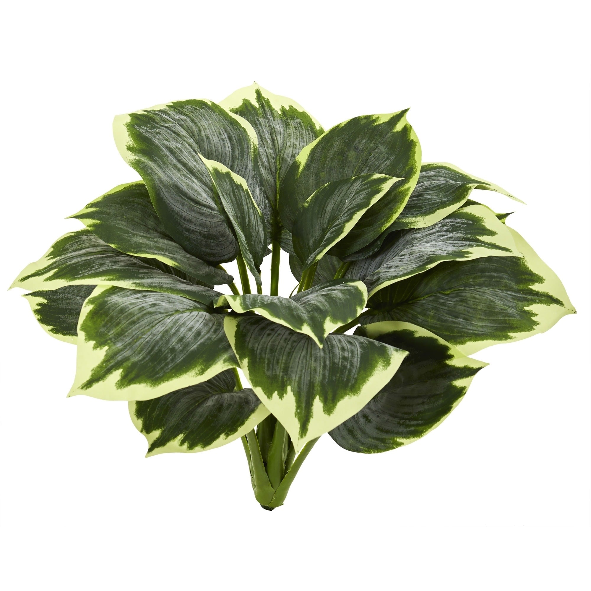 Nearly Natural Variegated Hosta Artificial Plant Set Of 6