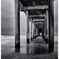 Veer Decor Infinite Pier Wall Mural