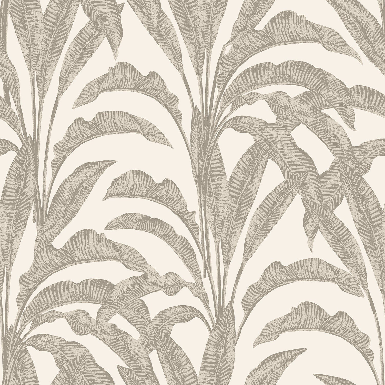 Veer Decor Luxe Tropical Palm Wallpaper