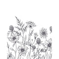 Veer Decor Meadow Bloom Sketch Wall Mural