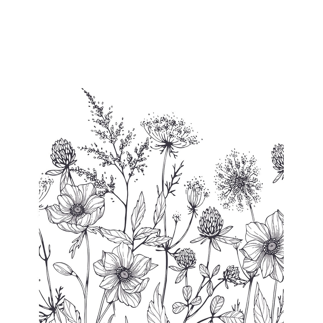 Veer Decor Meadow Bloom Sketch Wall Mural