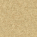 Veer Decor Pampas Plain Brushed Texture Wallpaper