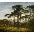 Veer Decor Radiant Pines Wall Mural