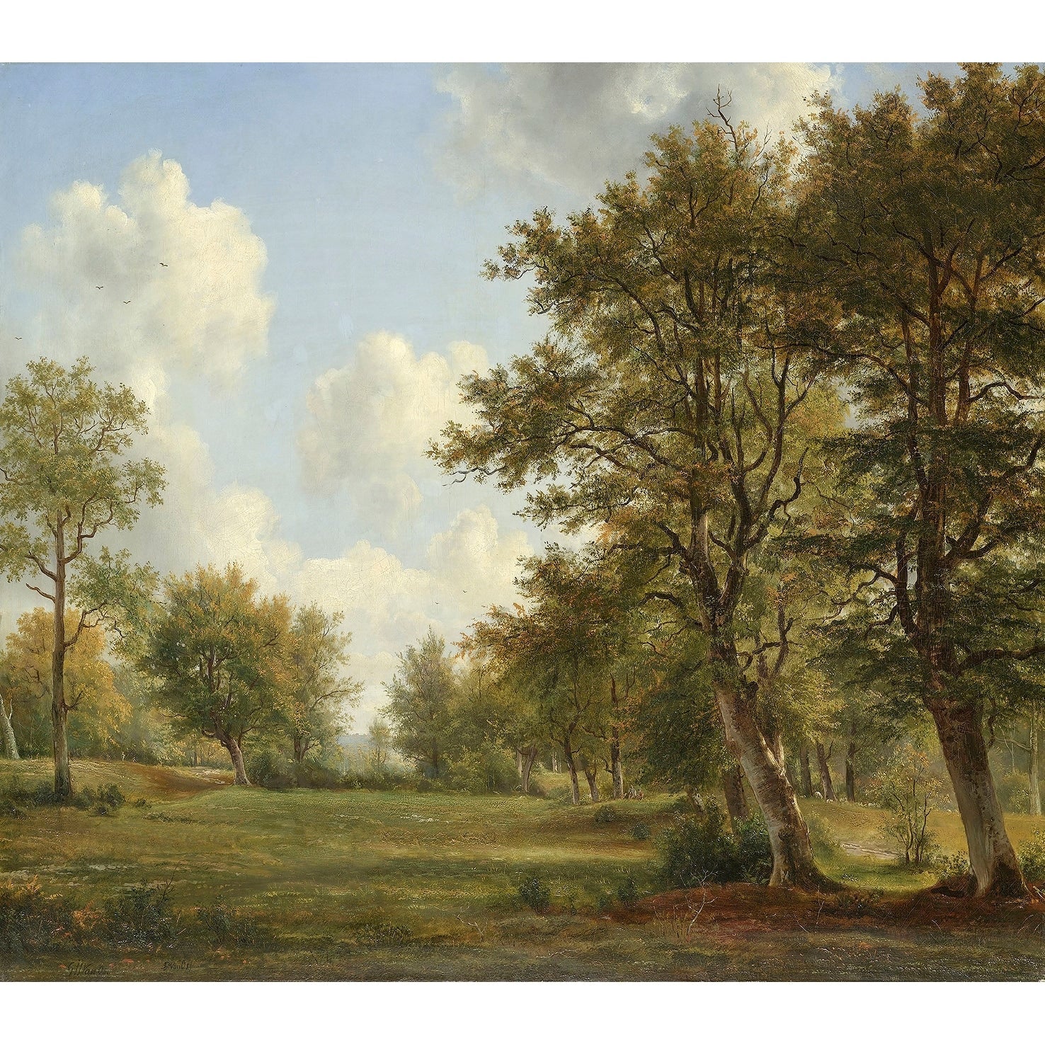 Veer Decor Serene Woodlands Wall Mural
