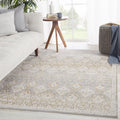 Vibe By Jaipur Living Hakeem Oriental Gray Gold Area Rug