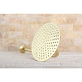 Victorian Polished Brass 8 Inch Shower Head W Shower Arm