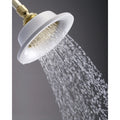 Victorian Sunflower Polished Brass Shower Head