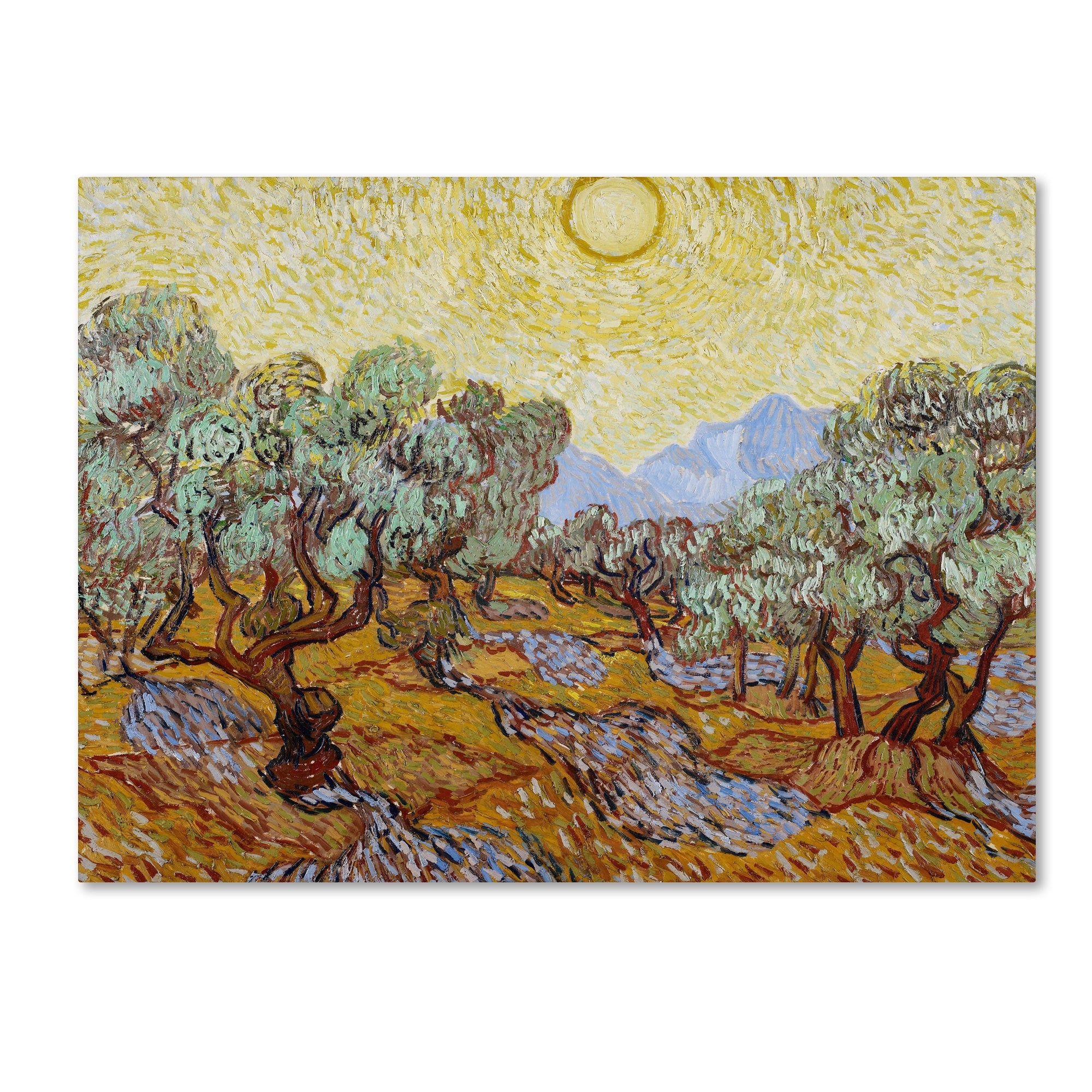 Vincent Van Gogh Olive Trees 1889 Canvas Art Multi
