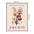 Vintage Botanical Orchid Illustration By Christopher Giampietro Framed Canvas Wall Art Print