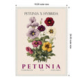 Vintage Botanical Petunia Illustration By Christopher Giampietro Framed Canvas Wall Art Print