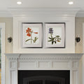 Vintage Botanical Sketch Ii 2 Piece Set Silver Frame