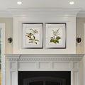 Vintage Botanical Sketch Iv 2 Piece Set Silver Frame