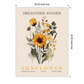 Vintage Botanical Sunflower No. 2 Illustration By Christopher Giampietro Framed Canvas Wall Art Print