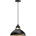 Volume Lighting 1 Light Black Hanging Pendant Bowl Clear Glass