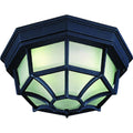Volume Lighting 1 Light Black Outdoor Ceiling Mount