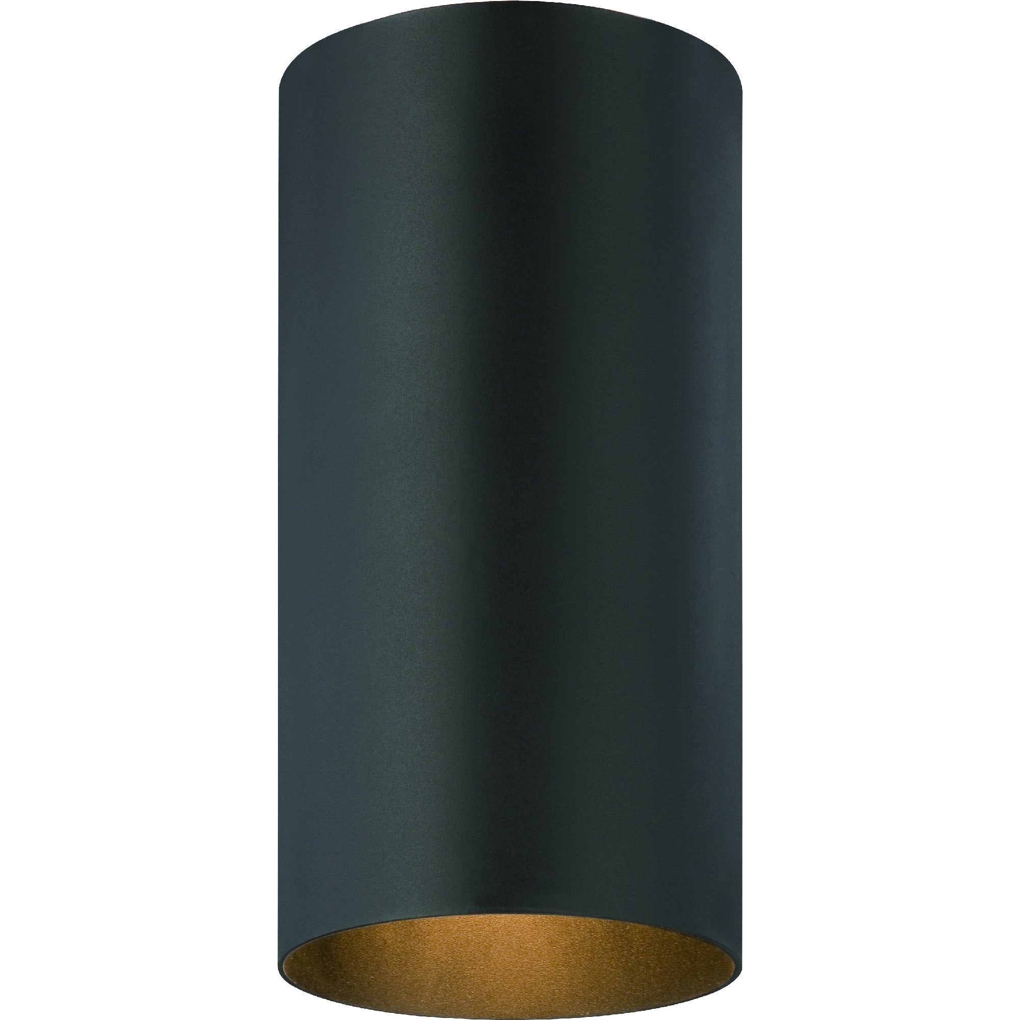 Volume Lighting 1 Light Black Outdoor Cylinder Flush Mount