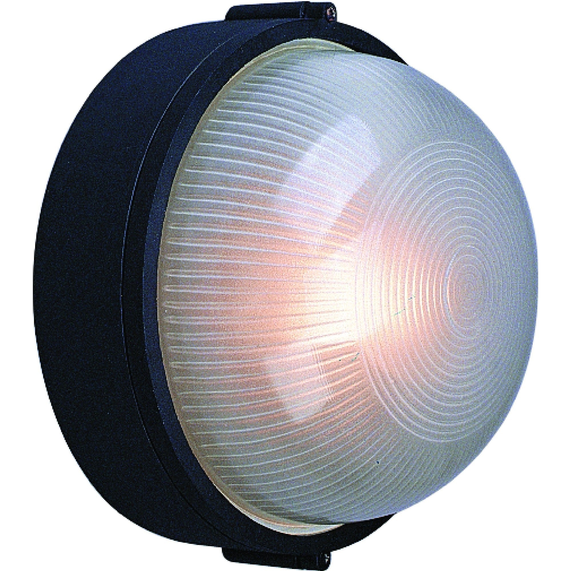 Volume Lighting 1 Light Indoor Outdoor Black Aluminum Flush Mount