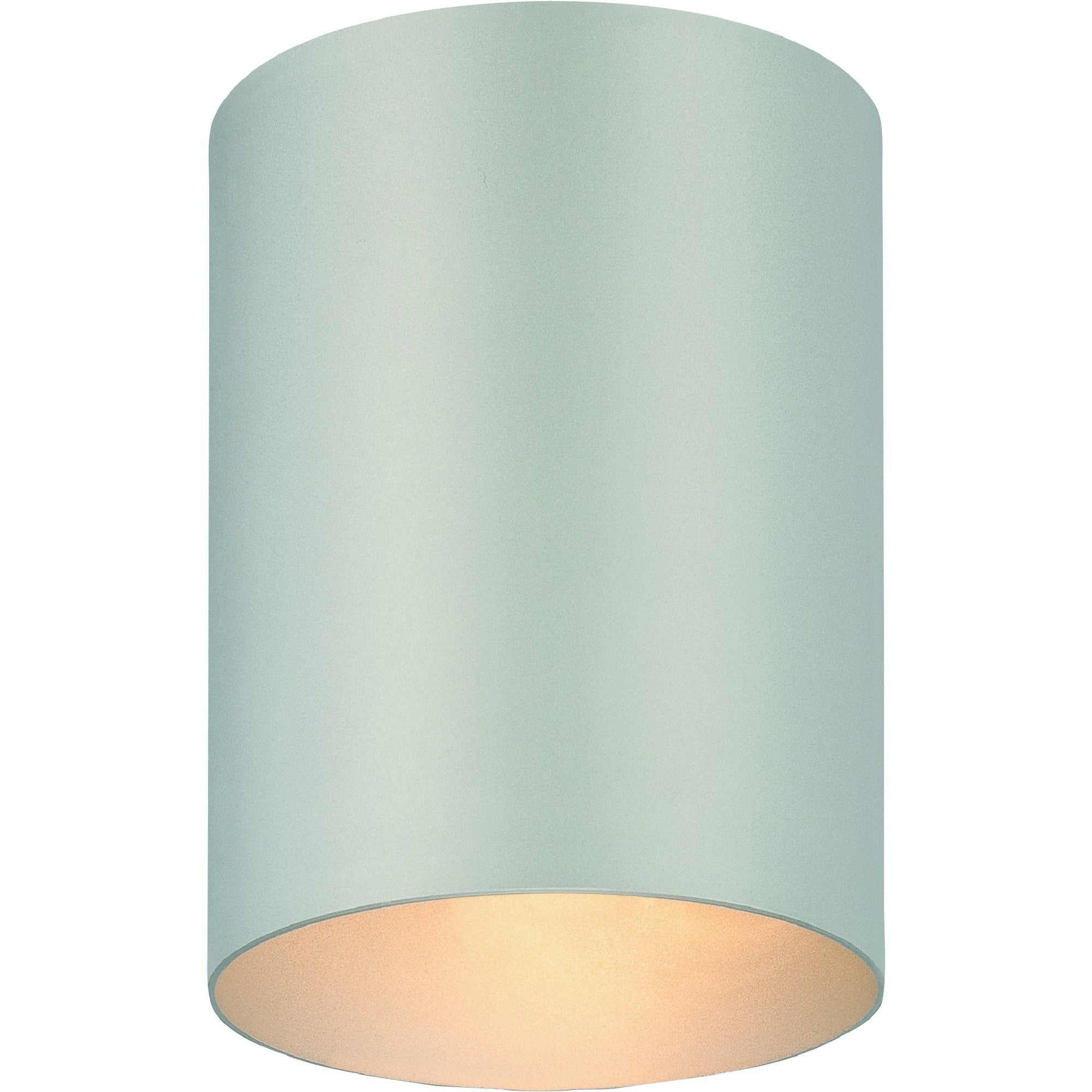 Volume Lighting 1 Light Silver Gray Outdoor Cylinder Flush Mount