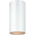 Volume Lighting 1 Light White Outdoor Cylinder Flush Mount