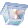 Volume Lighting 2 Light Outdoor White Flush Mount
