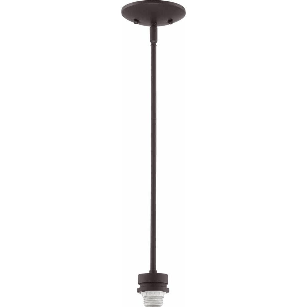 Volume Lighting V3781 Carena 1 Light Foyer Pendant Antique Bronze