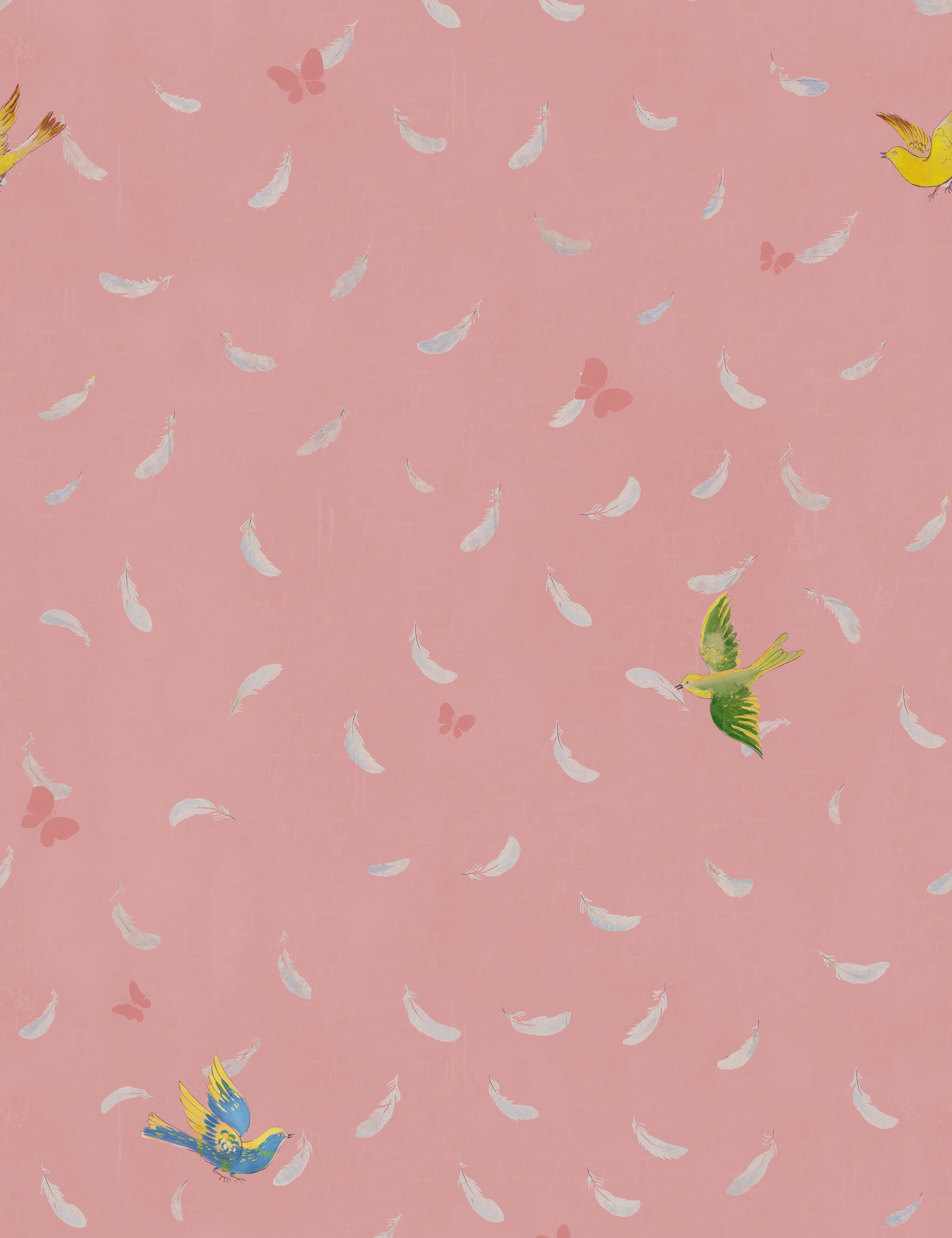 Feathers Wallpaper by Paule Marrot, Pink, Swatch