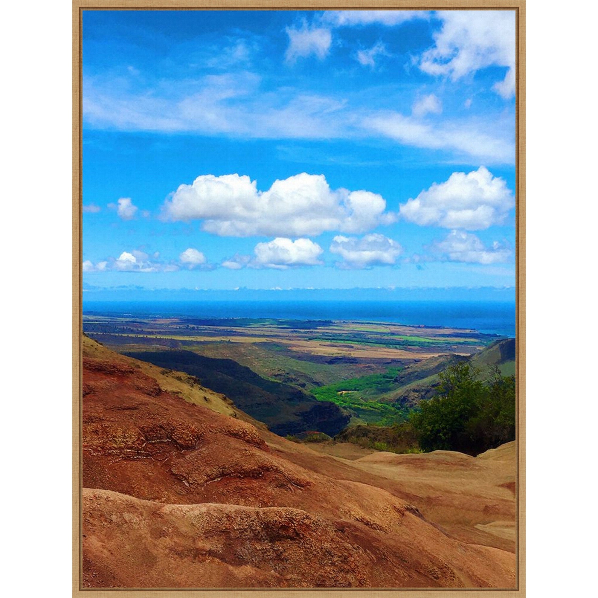 Waimea View By Nicole Dell Framed Canvas Wall Art Print