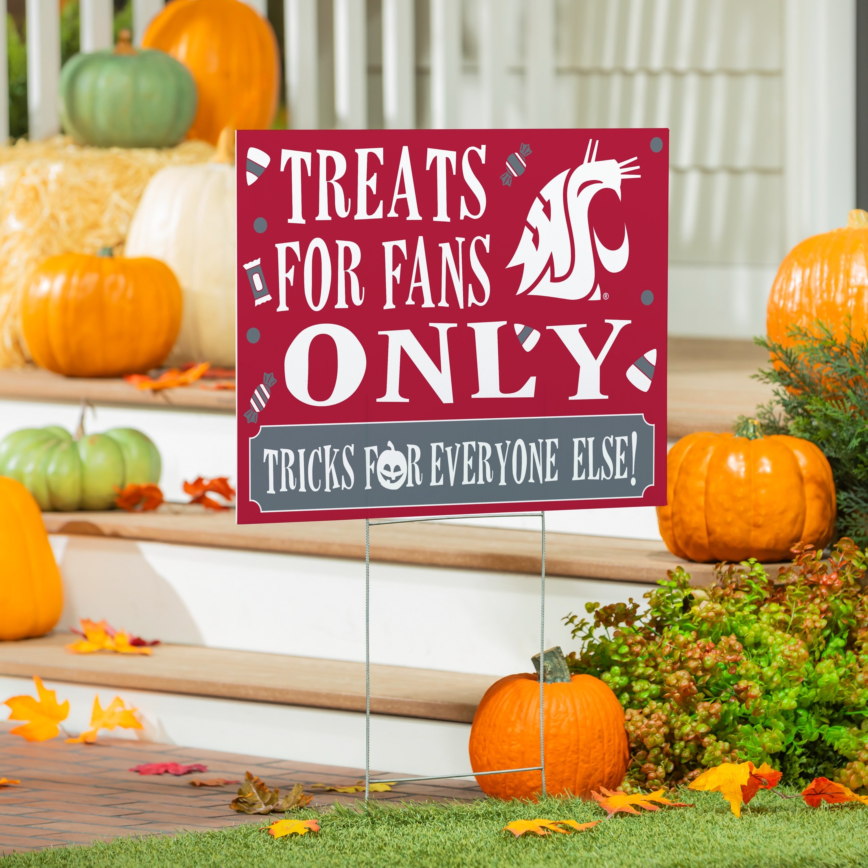 Washington State University Yard Sign Halloween Treats For Fans