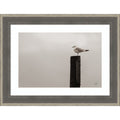 Watching The Rain Fall By Nathan Larson Wood Framed Wall Art Print Cottage Grey Silver