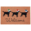 Liora Manne Water Bird Coir Door Mat 16 X 26 16 X 26