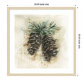 Watercolor Pinecone Study No. 2 By Ethan Harper Wood Framed Wall Art Print