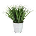 Wheat Grass Herb Plant In Metal Pot 9In 9 H X 8 W X 8 Dp