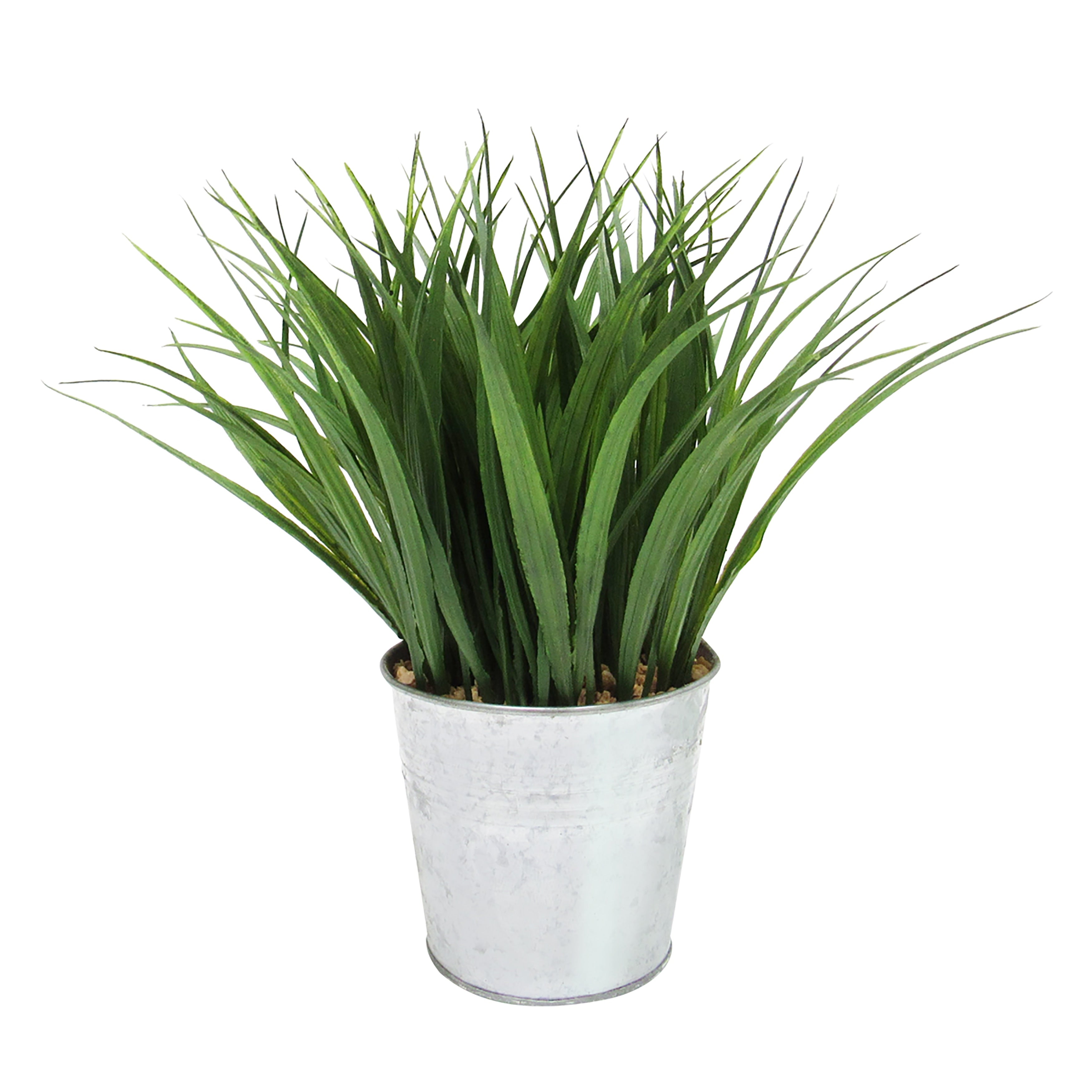 Wheat Grass Herb Plant In Metal Pot 9In 9 H X 8 W X 8 Dp