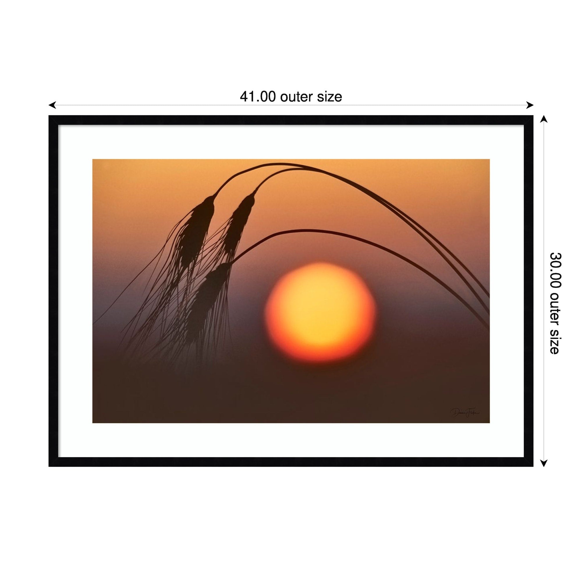 Wheat And Sunrise By Dennis Frates Wood Framed Wall Art Print