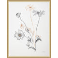 Where Have All The Flowers Gone By Mette Rix Framed Mounted Canvas Wall Art Print