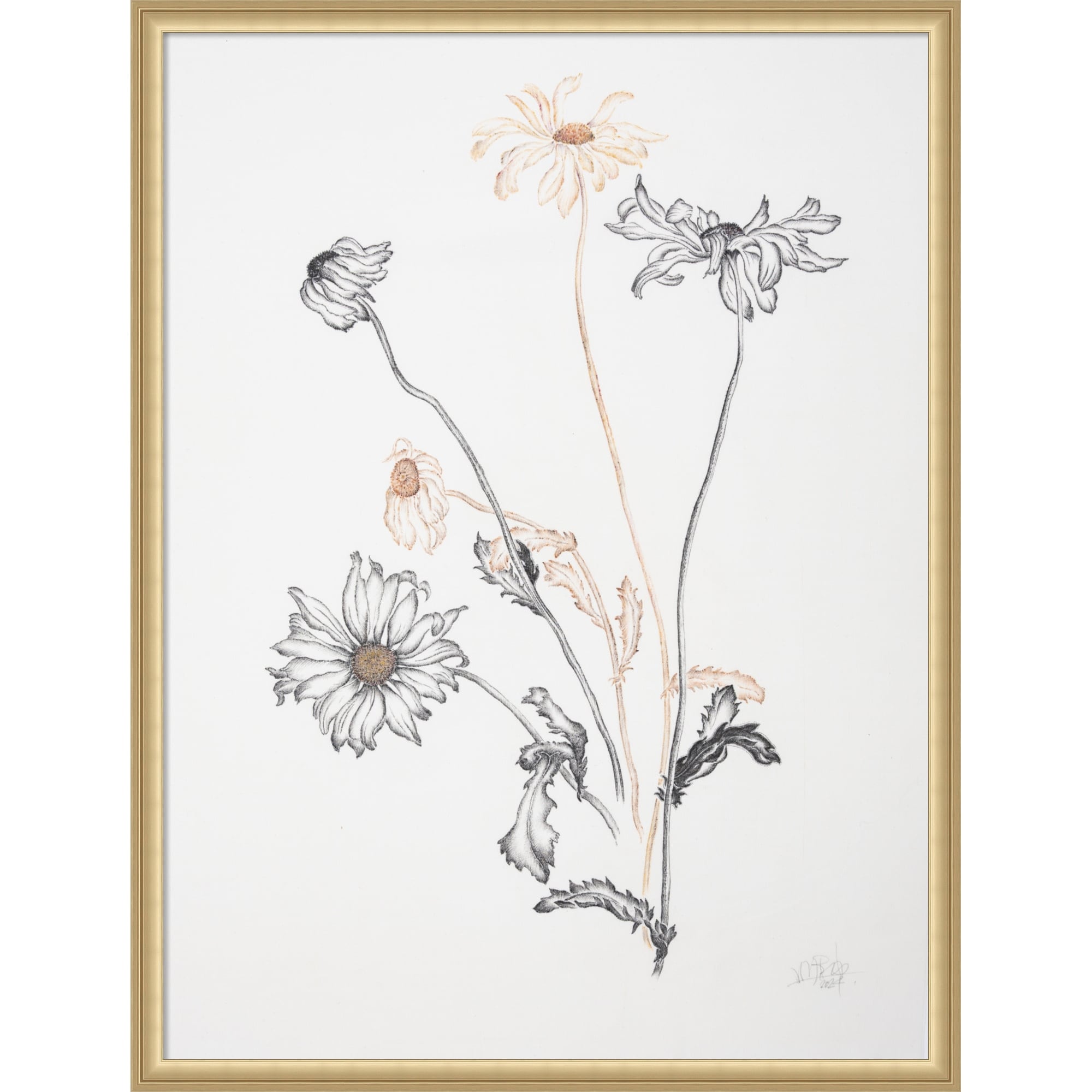 Where Have All The Flowers Gone By Mette Rix Framed Mounted Canvas Wall Art Print