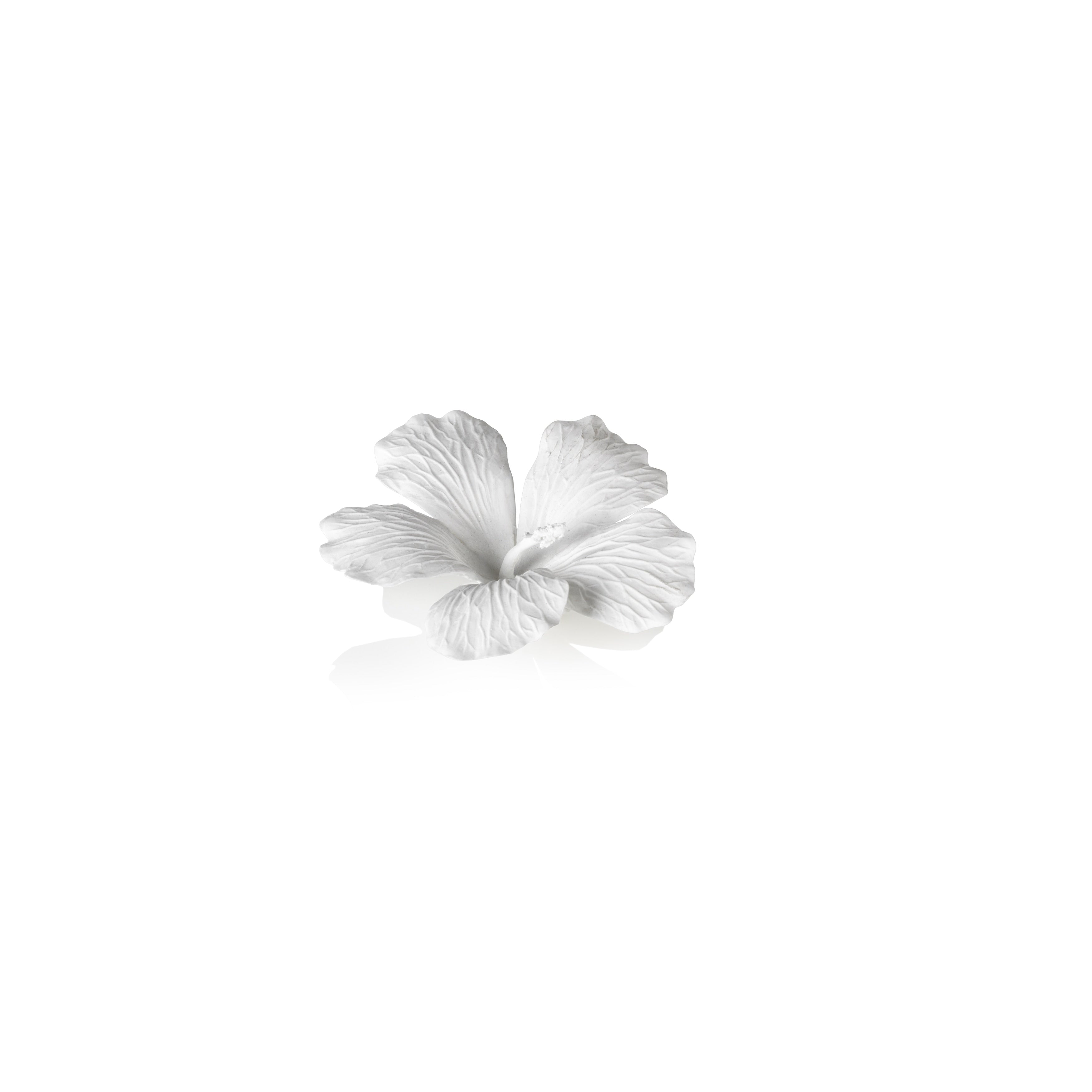 White Bone Wall And Table D Cor China Hibiscus Flower Set Of 3