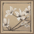 White Floral Study No. 1 By Ethan Harper 22 X 22 In. Framed Canvas Wall Art Print